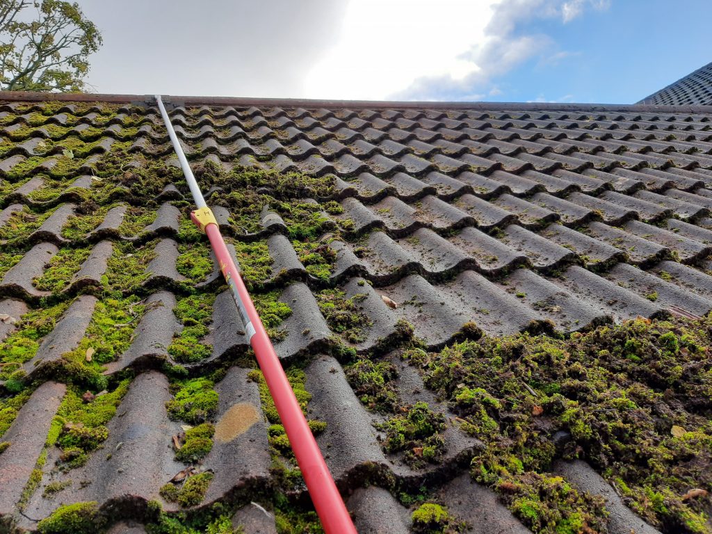 Roof Cleaning Service