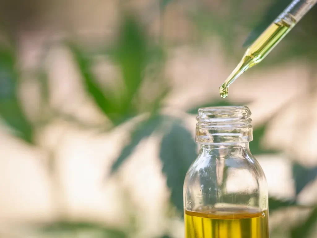 CBD Oil for Dogs